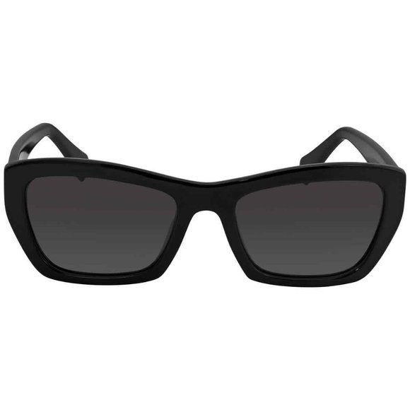 Salvatore Ferragamo Grey Ladies Sunglasses